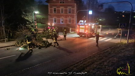 Baum auf Fahrbahn Feuerwehr St. Gangloff Einsatz vom 30.01.2022
